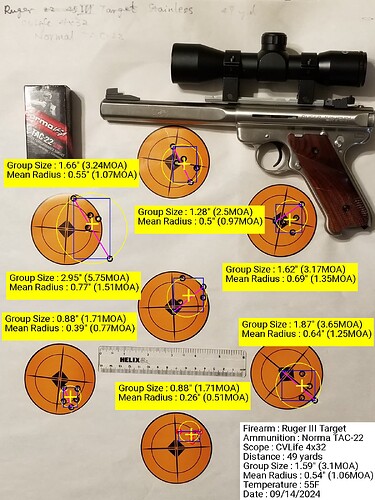 Ruger Mark III Target 3.1 MOA 49 yd CVLife 4x32 Norma TAC-22